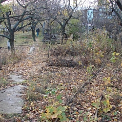 photo2.jpg
