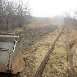 photo1.jpg