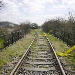 photo12.jpg