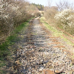 photo14.jpg