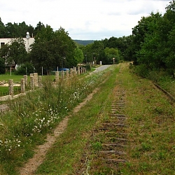 photo25.jpg