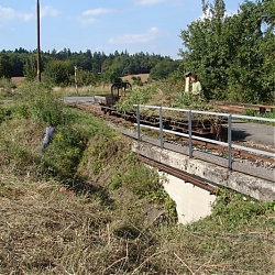 photo14.jpg
