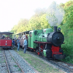 photo61.jpg