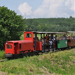 photo10.jpg