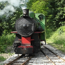 photo54.jpg