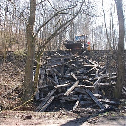 photo23.jpg