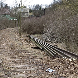 brezen_281329.jpg