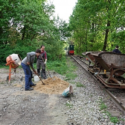 05.jpg