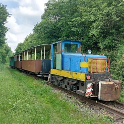 05.jpg