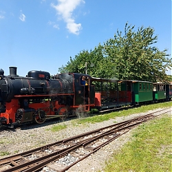 08.jpg