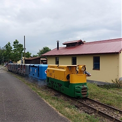 05.jpg