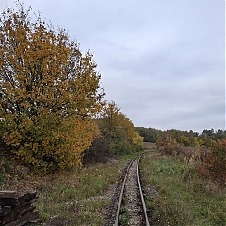 03.jpg