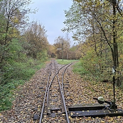 05.jpg