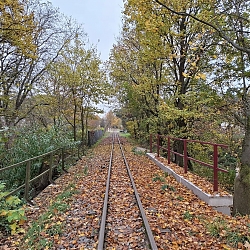 06.jpg