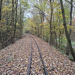 07.jpg