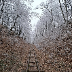 020.jpg
