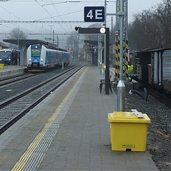 033.JPG