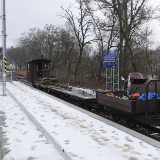 Prořezávka